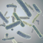 Strategie dezynfekcji pałeczek jelitowych wytwarzających karbapenemazy w systemach wodnych szpitali – przegląd zakresowy aktualnych podejść i wyzwań