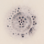 Ocena skuteczności pieniącego środka dezynfekcyjnego na bazie kwasu nadoctowego wobec biofilmów bakteryjnych tworzonych przez Enterobacteriaceae wytwarzające karbapenemazy oraz trudne do zwalczenia szczepy Pseudomonas aeruginosa w odpływach placówek ochrony zdrowia