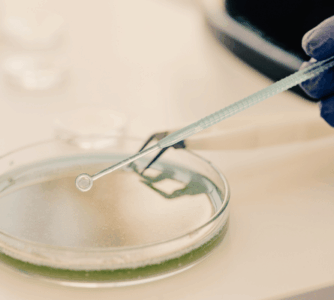 Porównanie składu zbiorowisk bakteryjnych w zakażeniach szpitalnych i klinicznych oraz w systemie oczyszczania ścieków szpitalnych, z uwzględnieniem ich wrażliwości i oporności na środki przeciwdrobnoustrojowe